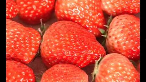 草莓国产在线视频,在线视频带你领略田园风情